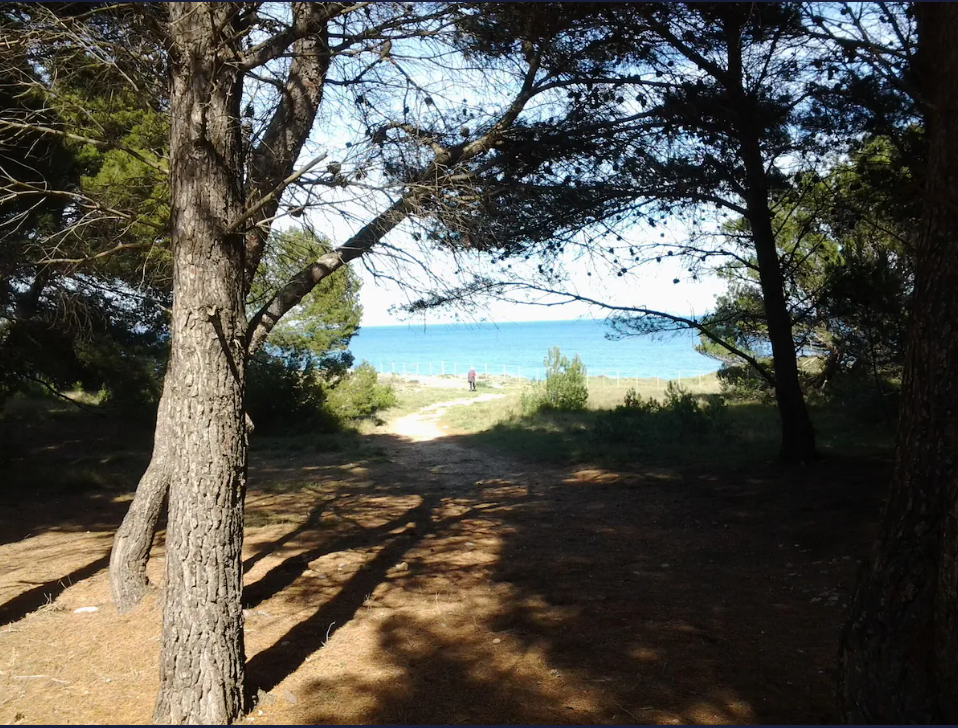 Appartement-Escala-REF1478526