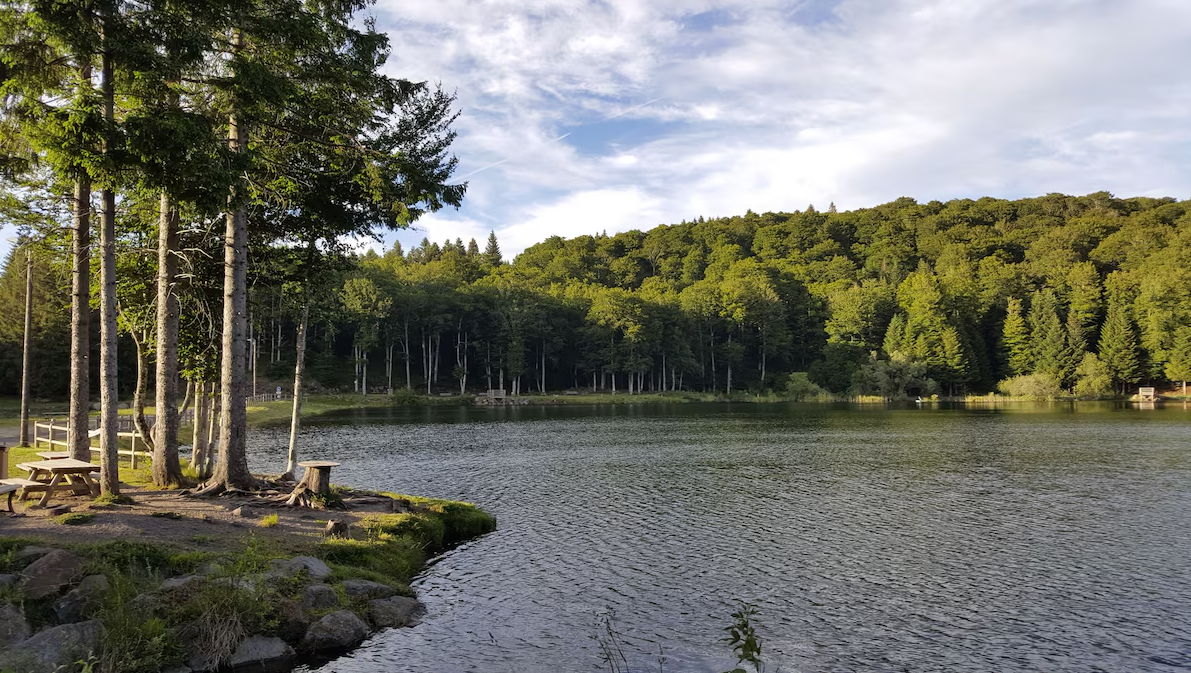 Chalet-Picherande-REF1477415