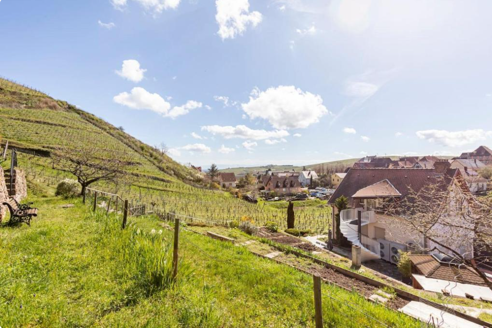 Maison-Niedermorschwihr-REF7412584