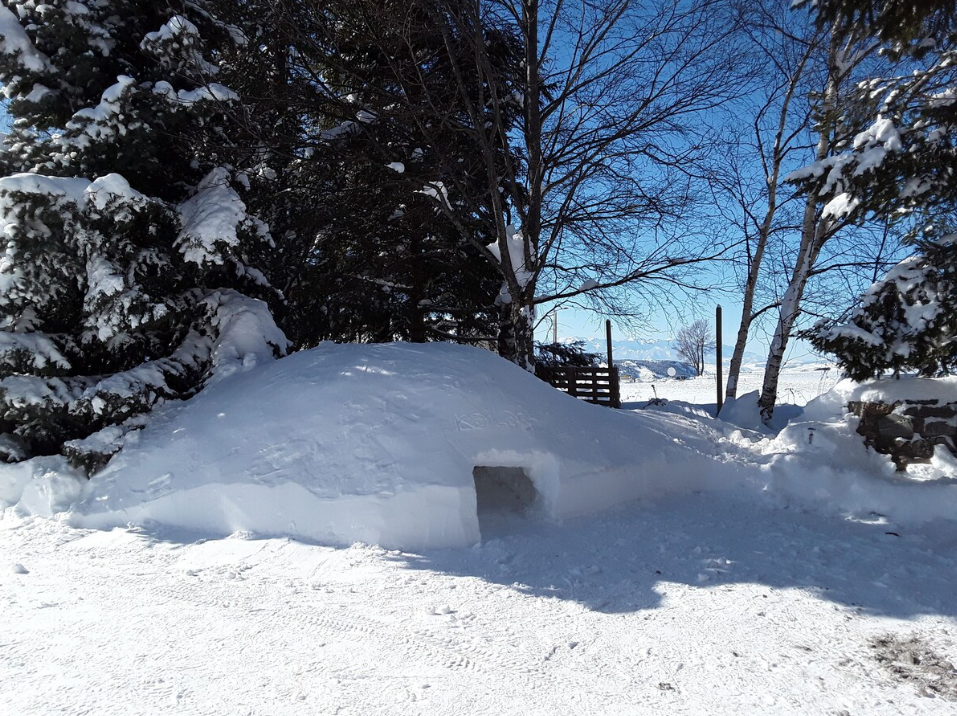 Chalet-Bolquere-REF4569874