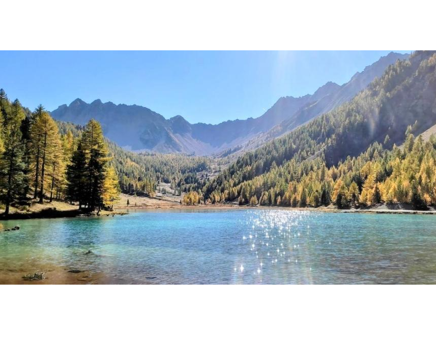 Chalet-Lac-de-lOrceyrette-REF1784563